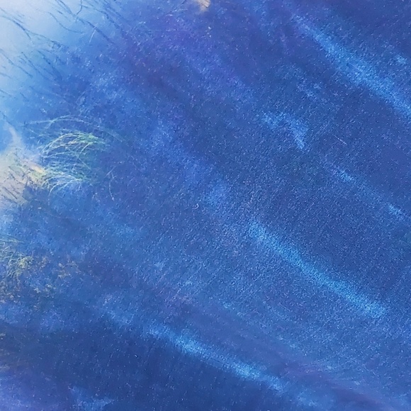 Beyonce x H&M blue dress - Picture 5 of 5